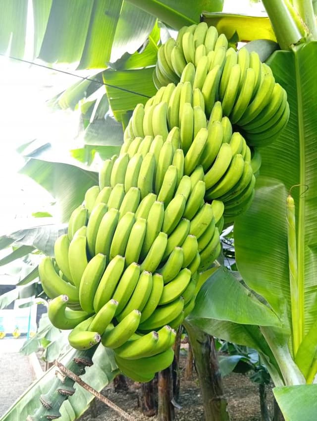 Foto 13 di Massimo D. (04/01/26)