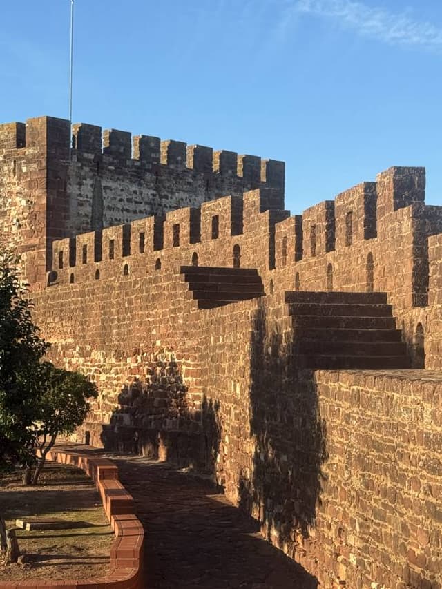 Foto 2 van Nicolaas B. (5-12-25)