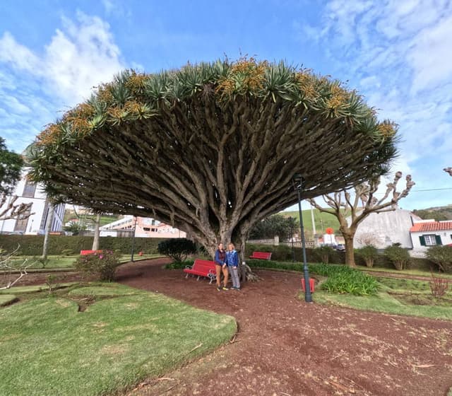 Photo 5 by Susan C. about renting a Opel Corsa in the Azores Islands (2/24/25)
