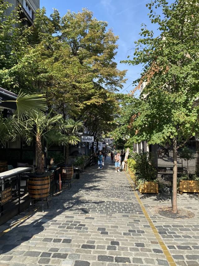 Foto 6 von Nemanja B. (22.10.23)