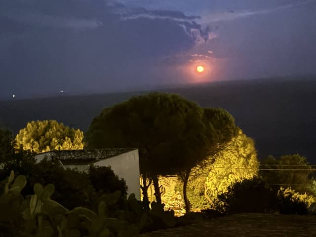 Foto 4 di Dario G. (05/07/26)