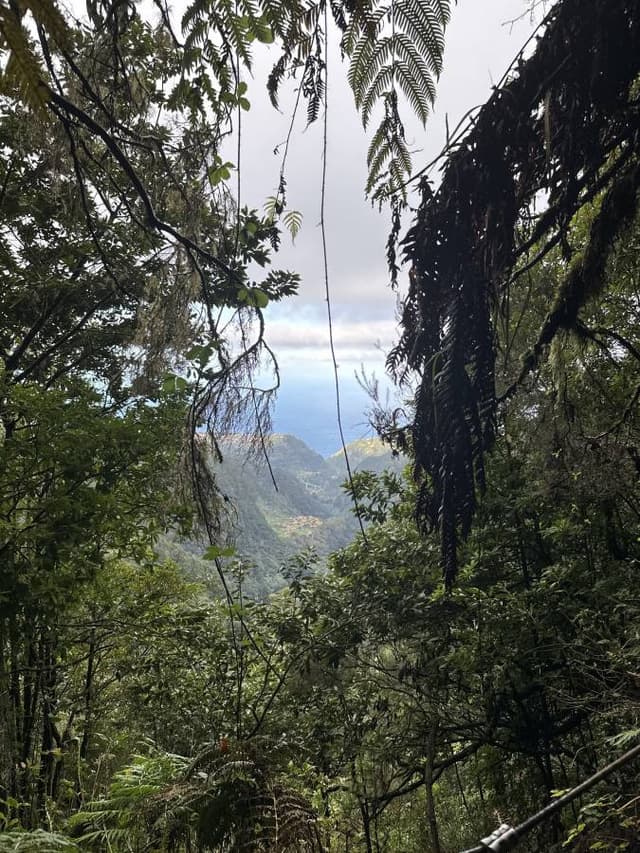 Zdjęcie 8 wykonane przez Michal G. (6.12.25)