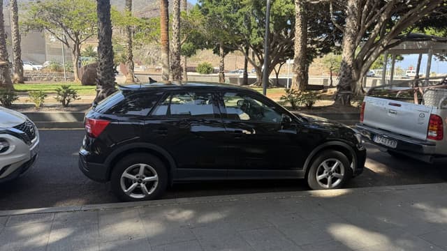 Фото от Valeriia S. (14.07.25)