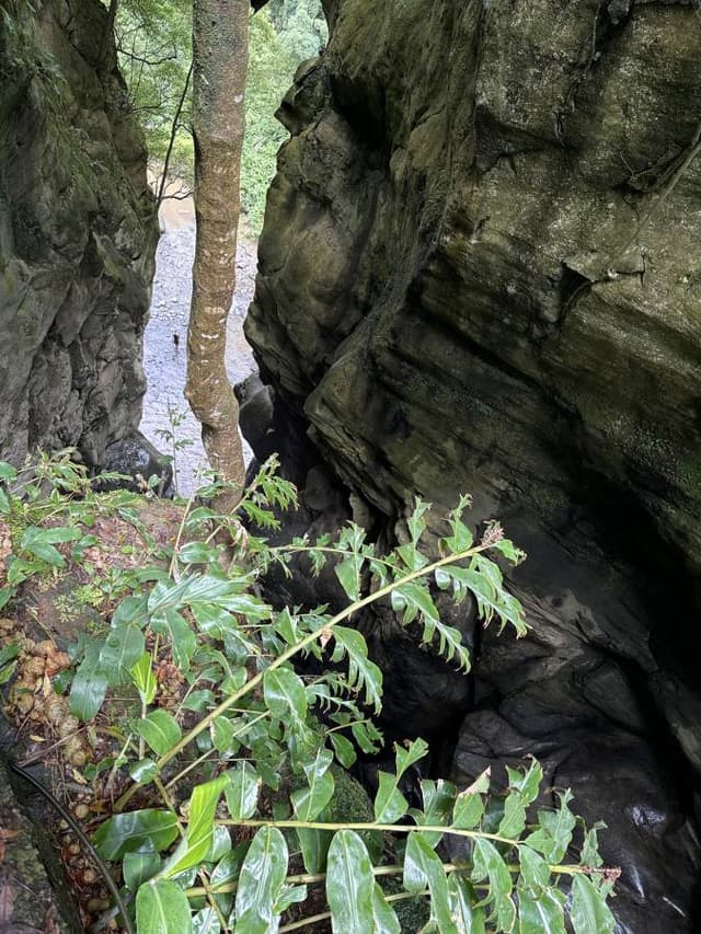 Foto 7 von Heinz M. über die Anmietung eines Fiat Panda am Flughafen Ponta Delgada (8.6.24)