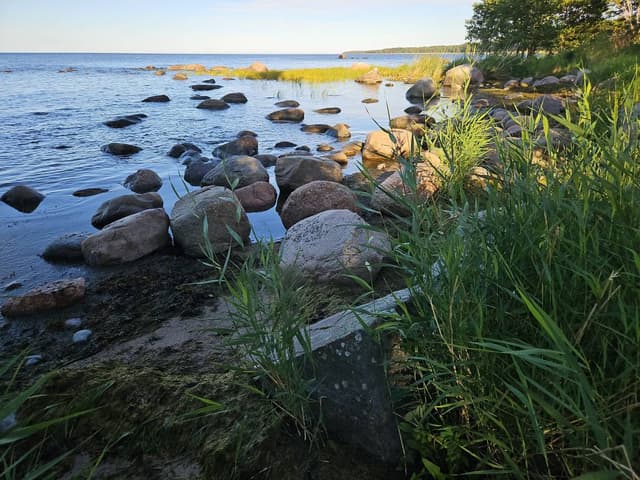 Zdjęcie 6 wykonane przez Piotr L. (29.08.25)