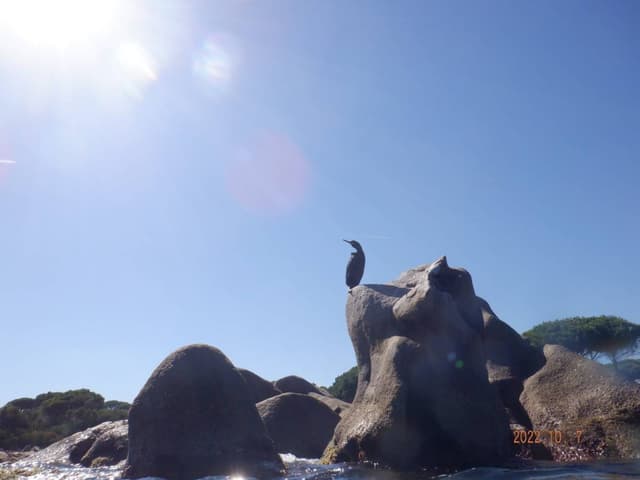 Photo 3 by Darren S. about hiring a Renault Clio in Olbia (12/10/22)