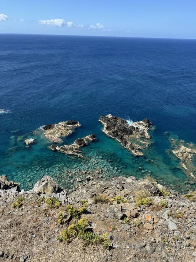 Photo 8 by Harold O. (9/11/24)