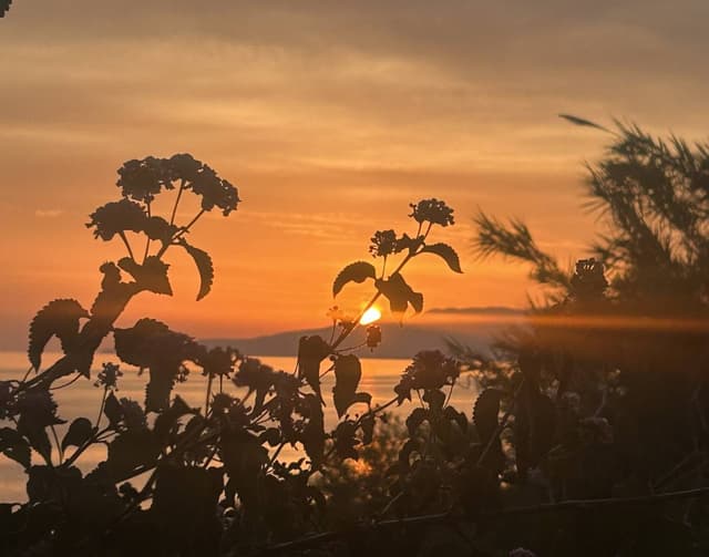 Photo 2 by Anna Maria B. about hiring a Fiat 500X in Italy (07.09.24)