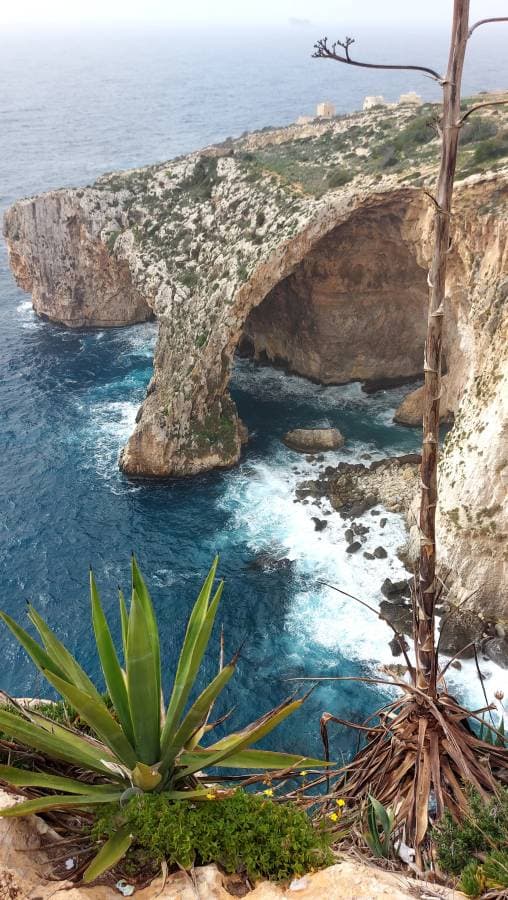 Photo 5 par Bruno C. (11/03/24)