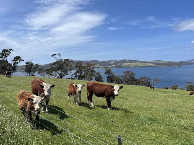 Photo 4 by Damian G. (12/20/25)