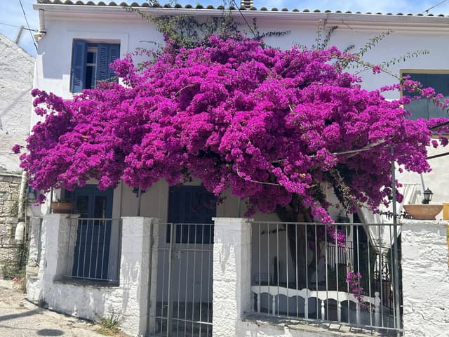 Billede 8 af Linda R. (23.6.26)