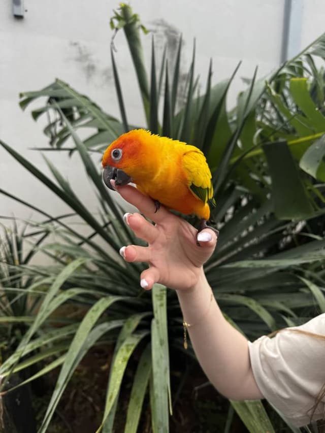 Zdjęcie 6 wykonane przez Ilona R. (6.01.26)