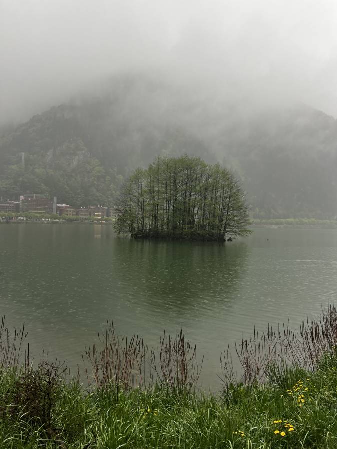 Photo 6 by salah A. (5/3/24)