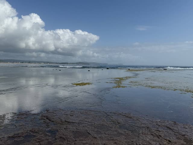 Foto 2 van Aernoud Jan D. (23-1-26)