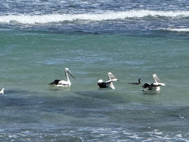 Foto 2 von Joachim C. (7.12.25)