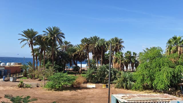 Foto 8 od Renata S. (14. 2. 26)