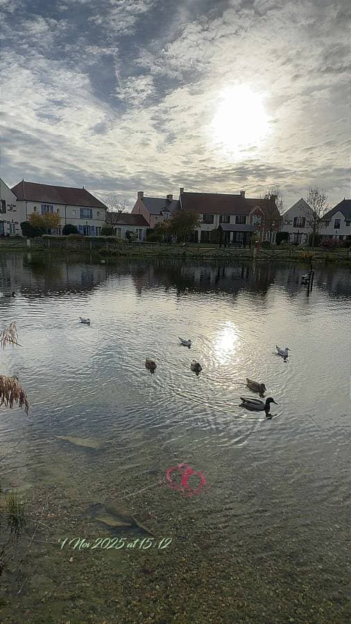 Photo 7 by Mohammad K. (12/1/25)