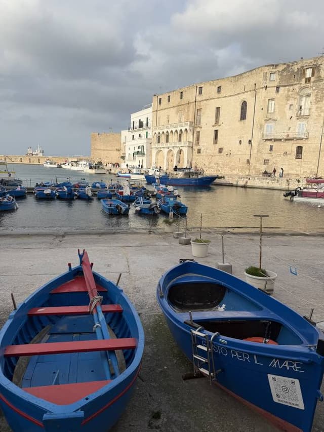 Photo 4 by Petru Iulian D. (4/14/26)