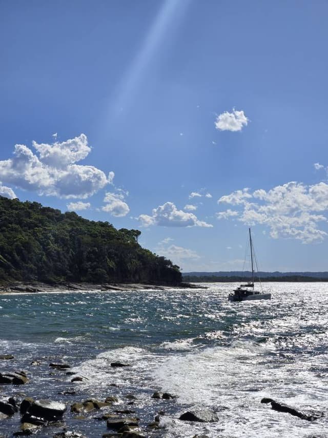 yoonin C.의 사진 2 (25. 1. 18.)