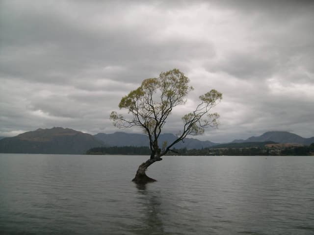 Photo 12 by Wee Heng L. (2/22/26)