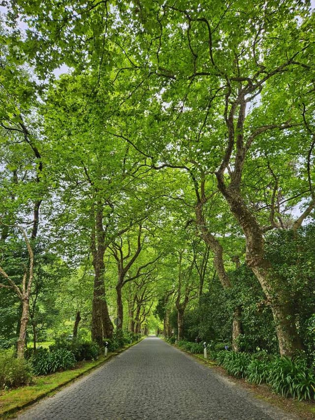 Fotografia 3 realizată de ALEXANDRU L. (23.06.24)