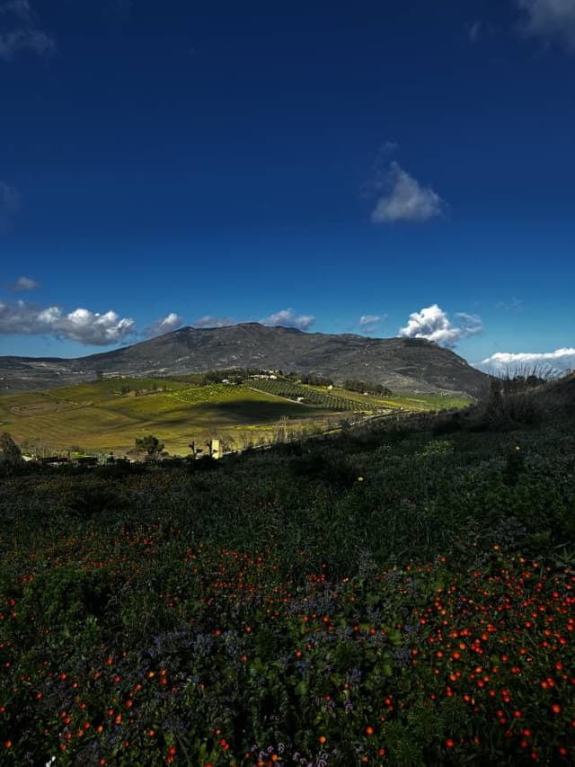 Foto 2 de Leticia P. (06/03/26)