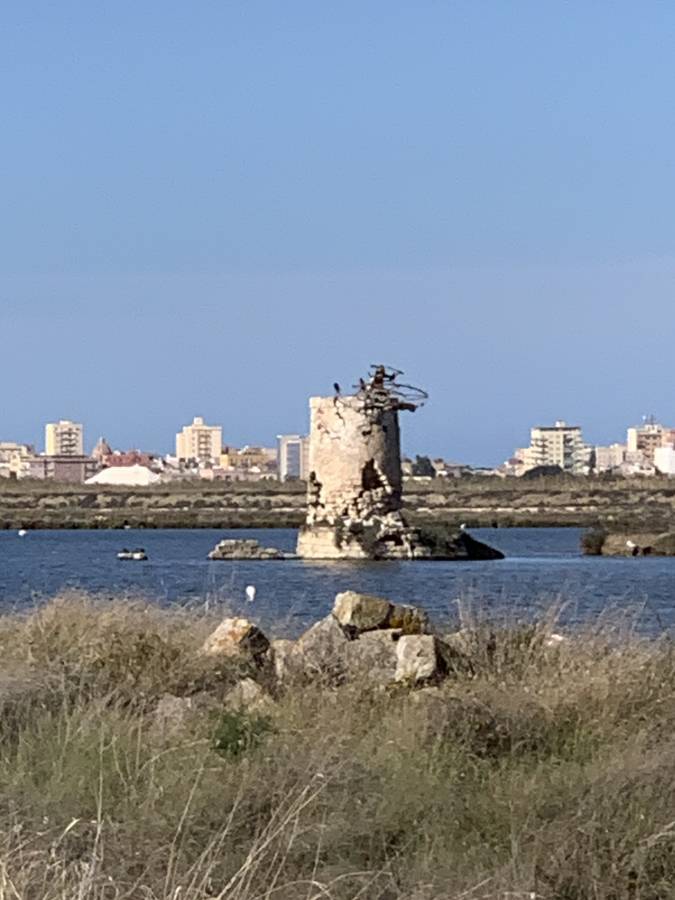 Foto 6 di Maria Lucrezia C. (27/10/24)