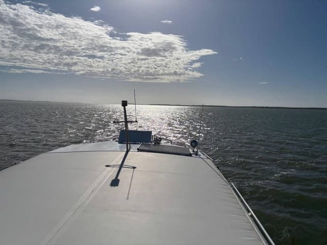 Photo 3 by Tracy M. (4/24/26)