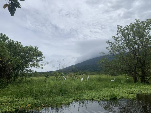 Photo 8 by Michal G. (11/15/25)