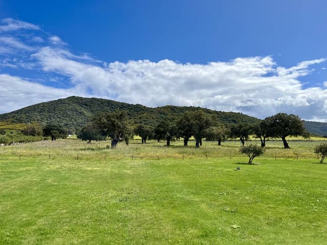 Zdjęcie 5 wykonane przez Przemyslaw K. (4.04.24)