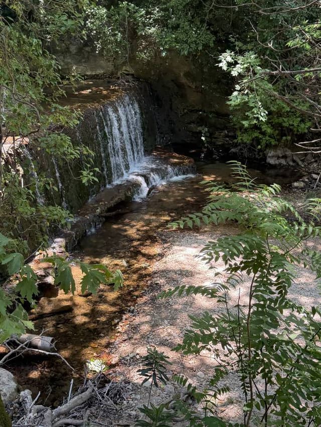Foto 9 van Erwin P. (28-6-26)