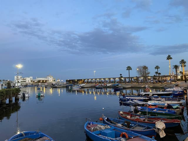 Photo 4 by Marius Alin F. about renting a Fiat 500X in Bari (1/5/24)