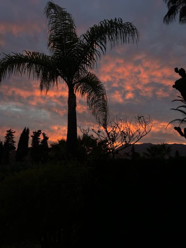 Zdjęcie 1 wykonane przez Ryszard G. (27.07.25)