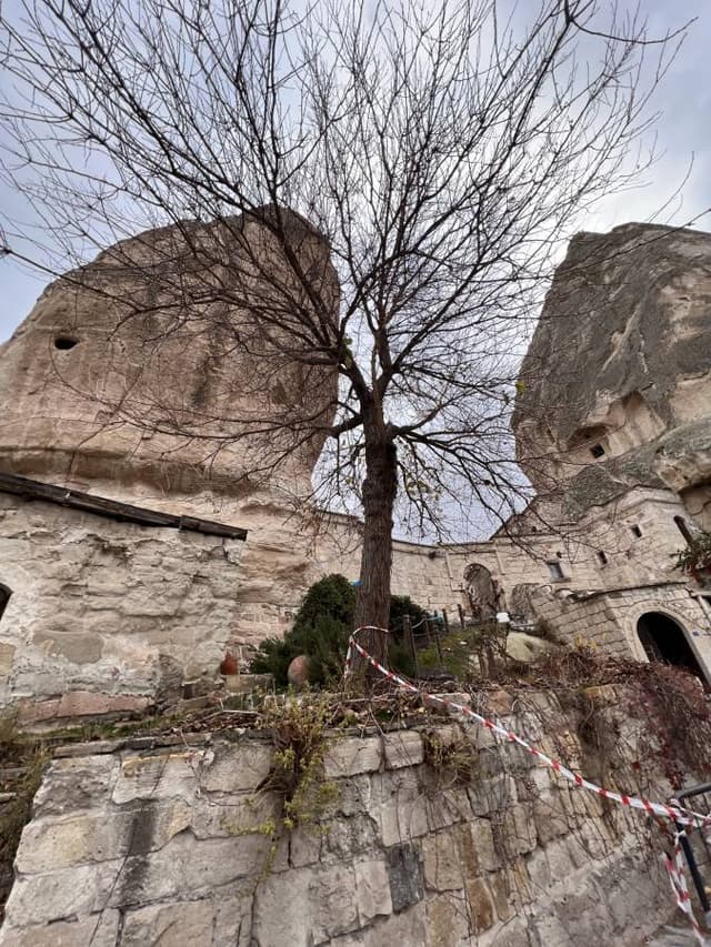 Photo 6 by ROSELEE B. (1/3/26)