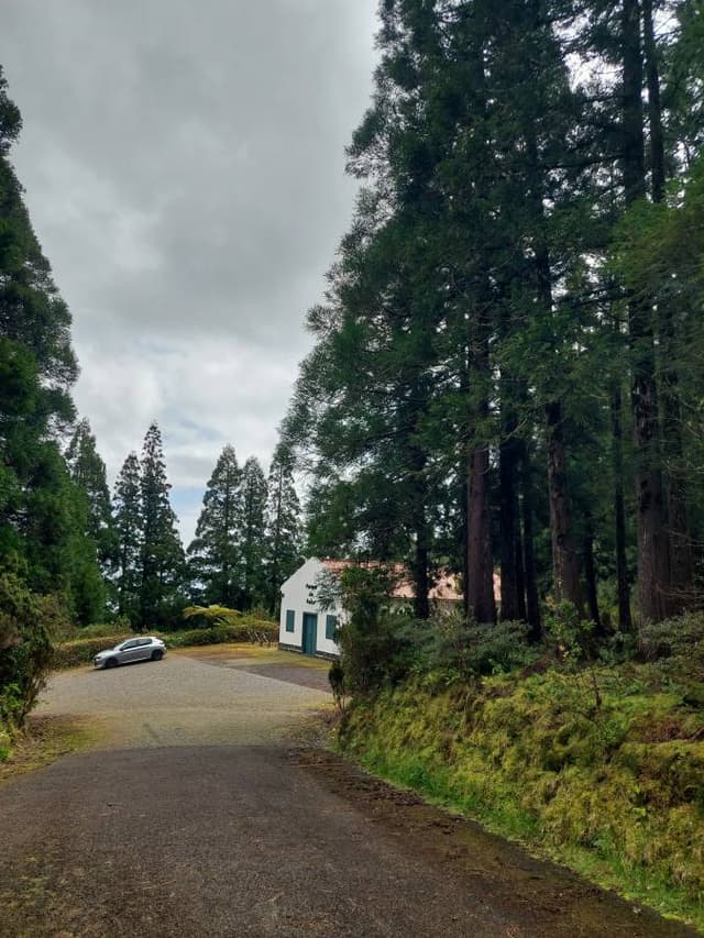 Foto 8 de Ricardo C. (22/03/26)