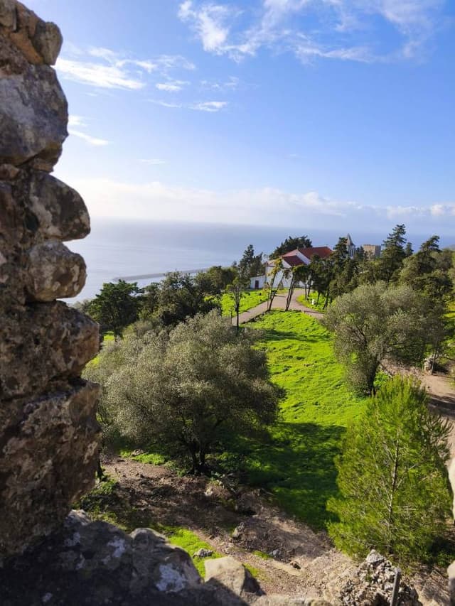 Photo 3 par Mme F. (29/12/25)