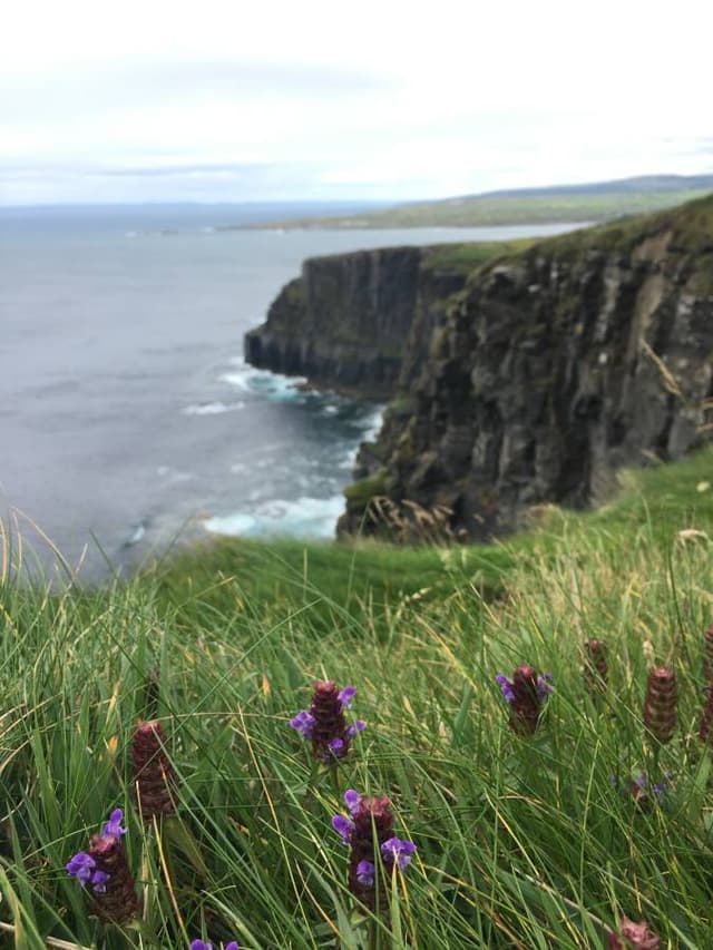 Photo 5 par Eric B. sur la location d'un Toyota Aygo en Irlande (16/08/24)