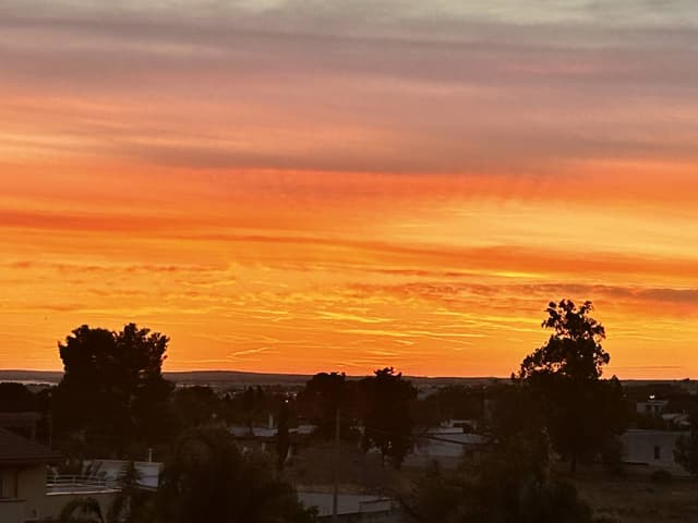 Photo 2 by Alma A. about renting a Fiat 500 in Brindisi (6/4/25)