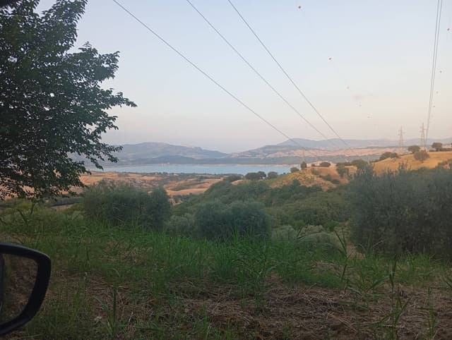 Foto 2 di Massimo L. (02/08/26)