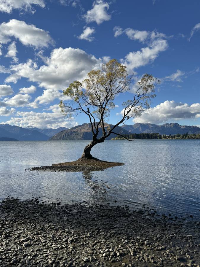 Photo 3 by Scott L. (3/23/24)