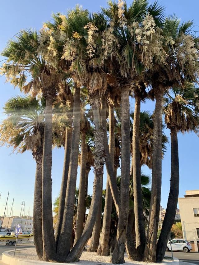 Zdjęcie 6 wykonane przez Pawel B. (11.08.23)