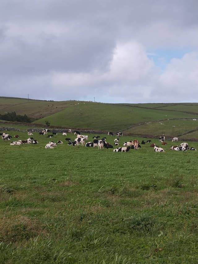 Foto 5 de Ana Cristina L. (10/11/25)