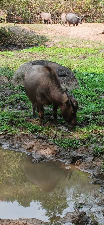 Photo 9 by steven M. (3/22/26)