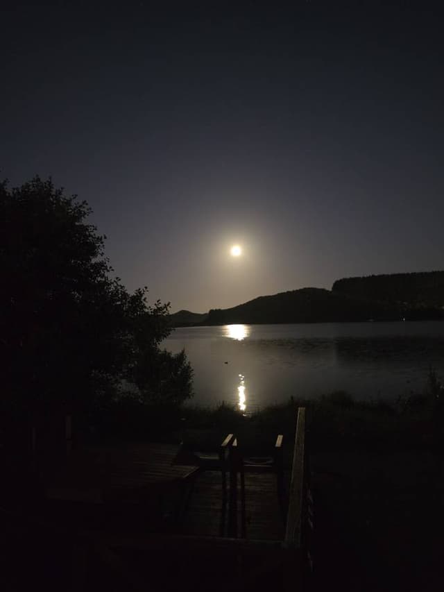 Photo 3 by Ferdous S. (4/7/26)