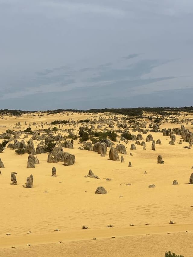 Photo 10 by Andrew G. about hiring a Toyota Corolla at Perth Airport (26/02/24)