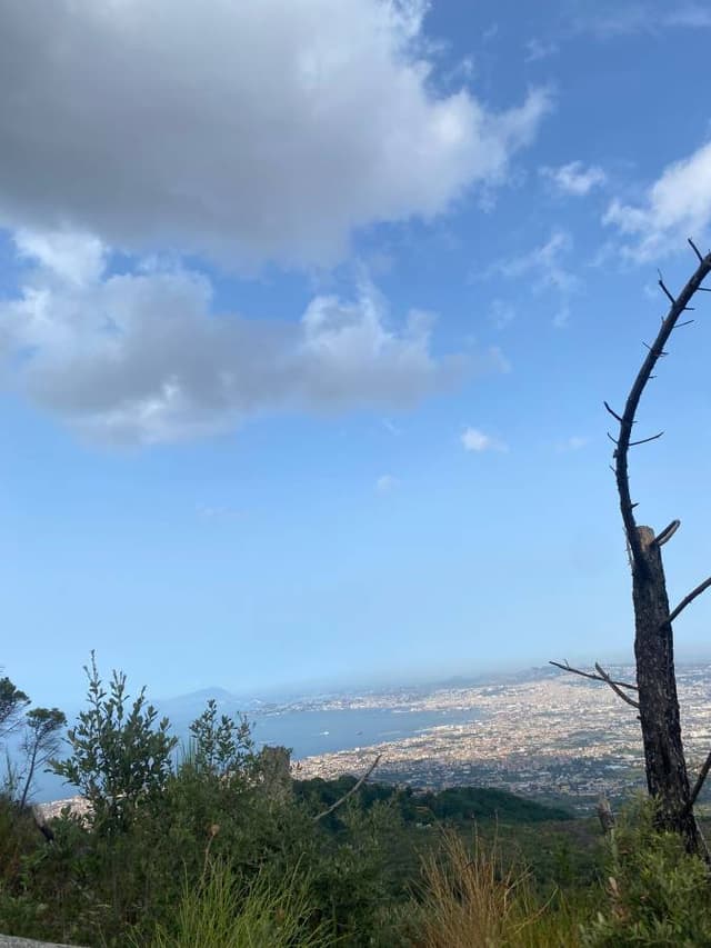 Foto 3 di Eugenio S. sul noleggio di una Fiat 500X a Palermo (22/08/24)