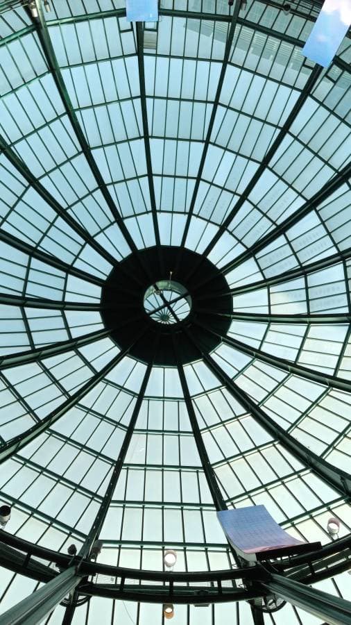 Photo by Kelson S. (10/24/25)