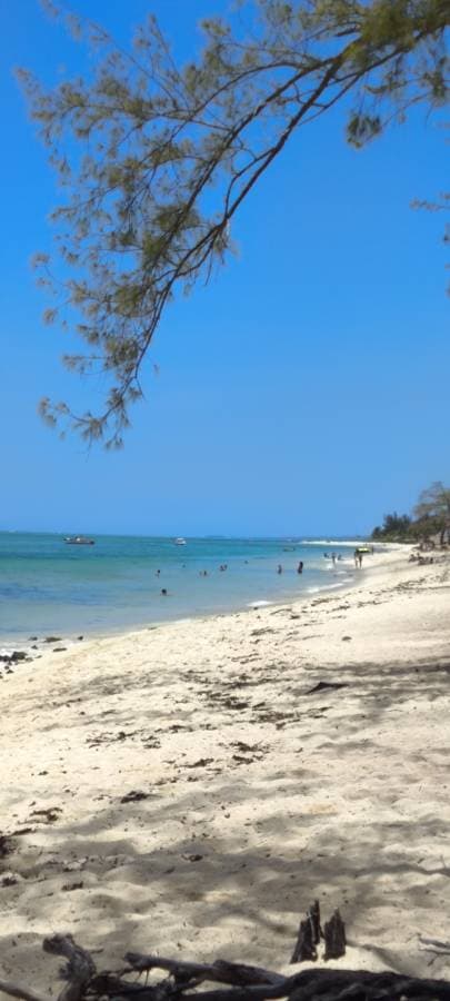 Photo par guy H. (11/12/25)