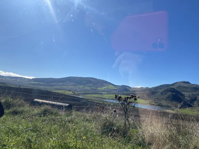 Foto 7 de Paulo Sergio M. (13/11/25)