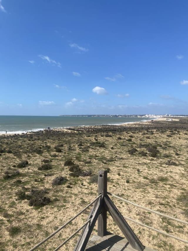 Photo 3 by Peter H. (2/28/26)